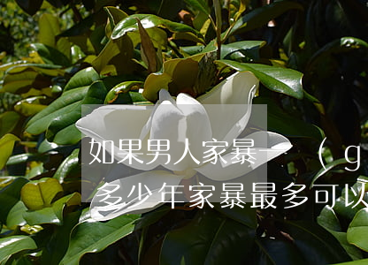 如果男人家暴一個(gè)女人34年判罰多少年(家暴最多可以判多少年)