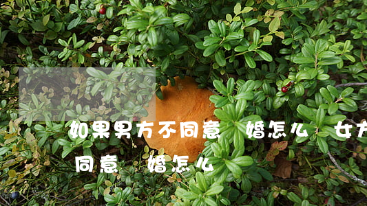 如果男方不同意離婚怎么辦(女方離婚男方不同意離婚怎么辦)