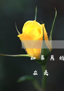 如果真的沒錢還信用卡怎么辦(實(shí)在是沒辦法還信用卡了,怎么辦)