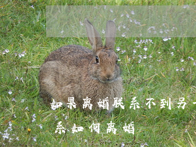 如果离婚联系不到另一方怎么办(一方失去联系如何离婚)