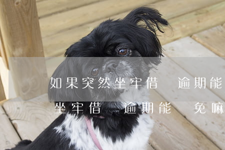 如果突然坐牢借唄逾期能減免嘛-如果突然坐牢借唄逾期能減免嘛怎么辦