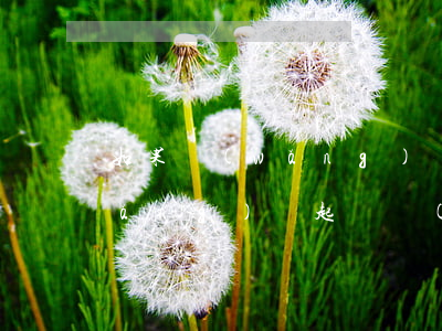 如果網(wǎng)貸起訴該怎么辦(網(wǎng)貸起訴會(huì)怎樣)
