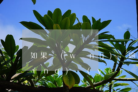 如果網(wǎng)貸逾期了能辦理營(yíng)業(yè)執(zhí)照嗎-如果網(wǎng)貸逾期了能辦理營(yíng)業(yè)執(zhí)照嗎怎么辦