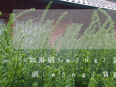 如果網(wǎng)貸逾期了還不起怎么辦(網(wǎng)貸逾期以后還不上慢慢還可以嗎)