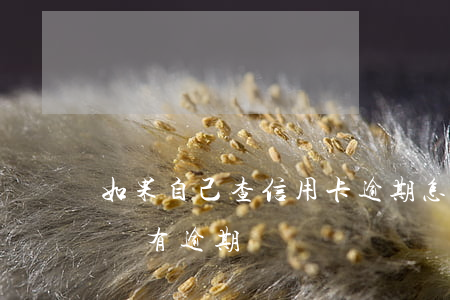 如果自己查信用卡逾期(怎樣查自己信用卡有沒有逾期)