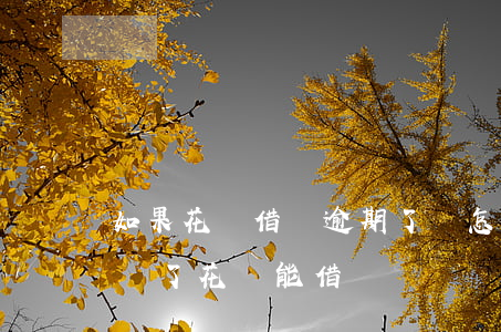 如果花唄借唄逾期了會怎樣(花唄借唄逾期了還了,花唄能借錢嗎)