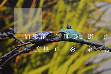 如果花唄逾期了會影響京東金條么-如果花唄逾期了會影響京東金條么嗎