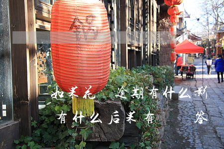 如果花唄逾期有什么影響(花唄逾期幾個月會有什么后果,有獎問答)
