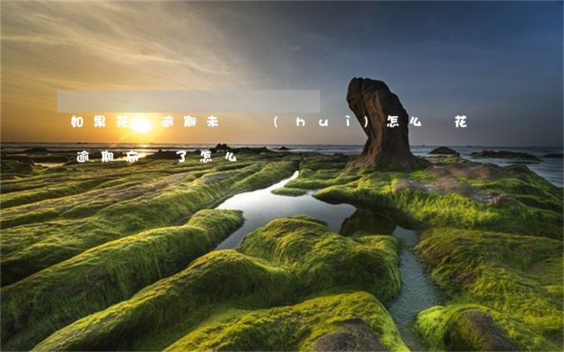 如果花唄逾期未還會(huì)怎么樣（花唄逾期忘還了怎么辦）