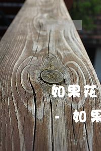 如果花唄逾期還上后會恢復(fù)正常嗎-如果花唄逾期還上后會恢復(fù)正常嗎怎么辦