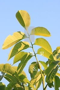 如果螞蟻花唄逾期不還錢(支付寶花唄逾期怎么辦,錢還是沒(méi)有還上)