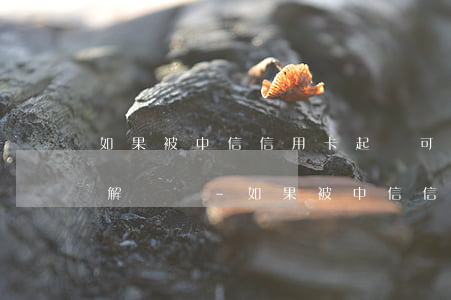 如果被中信信用卡起訴可以協(xié)商解決嗎-如果被中信信用卡起訴可以協(xié)商解決嗎