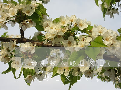 如果被人起訴欠錢(qián)不還 如果被人起訴欠錢(qián)不還