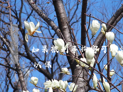 如果被刑事拘留可以保釋嗎(民事案件拘留可以保釋嗎)