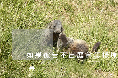 如果被告不出庭會怎樣(原告不出庭有什么后果)