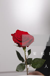 如果被拘留了那么欠的網(wǎng)貸怎么辦(人被拘留了欠的網(wǎng)貸怎么辦)