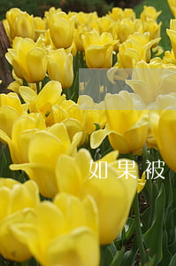 如果被網(wǎng)貸公司起訴了錢還了