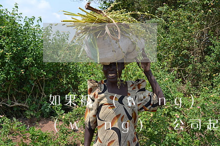 如果被網(wǎng)貸公司起訴(如果被網(wǎng)貸公司起訴 會承擔什么責任)