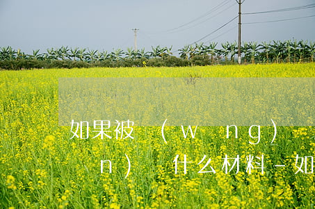 如果被網(wǎng)貸起訴了要準(zhǔn)備什么材料-如果被網(wǎng)貸起訴了要準(zhǔn)備什么材料呢