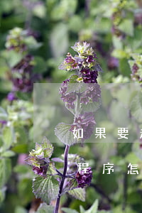 如果要起诉离婚程序怎么走(离婚去哪里起诉程序怎么走)