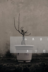 如果要離婚起訴費一次該是多少(離婚起訴費多少錢啊)