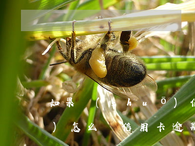 如果說(shuō)信用卡逾期會(huì)怎么樣（信用卡逾期客服說(shuō)的可信嗎）