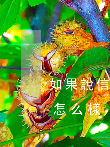 如果說信用卡逾期會怎么樣（逾期的信用卡會怎么樣）