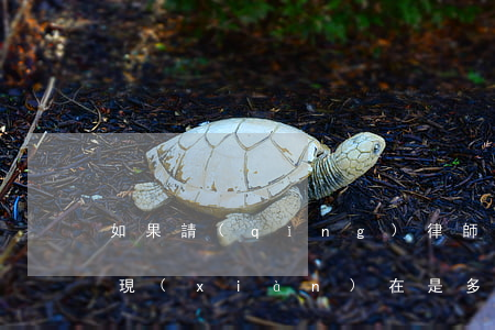 如果請(qǐng)律師訴訟費(fèi)現(xiàn)在是多少錢