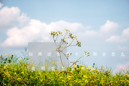 如果说信用卡逾期会怎么样-如果说信用卡逾期会怎么样呢