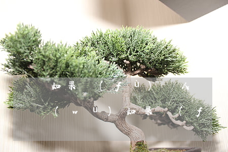 如果負(fù)債人無(wú)力償還債務(wù)(如果負(fù)債人無(wú)力償還債務(wù)怎么處理)
