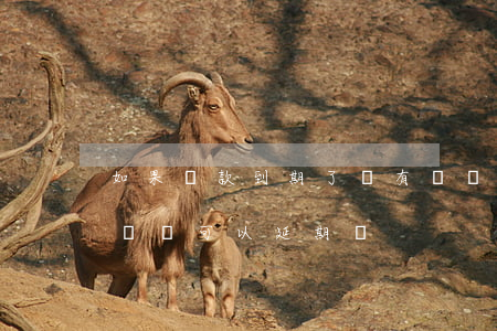 如果貸款到期了沒有錢還怎么辦 貸款到期沒錢還可以延期嗎