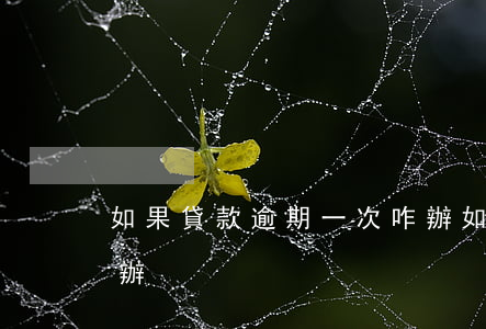 如果貸款逾期一次咋辦(如果貸款逾期一次咋辦)