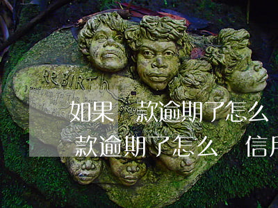 如果貸款逾期了怎么辦信用卡還款-如果貸款逾期了怎么辦信用卡還款不了