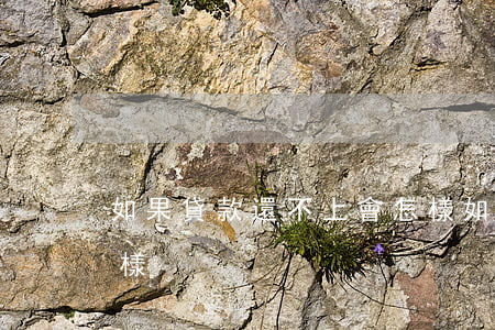 如果貸款還不上會怎樣(如果貸款還不上會怎樣?)