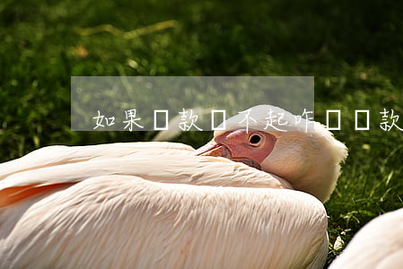 如果貸款還不起咋辦(貸款還不起怎么辦)