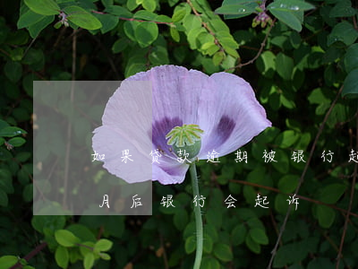 如果贷款逾期被银行起诉(银行贷款逾期几个月后银行会起诉?)
