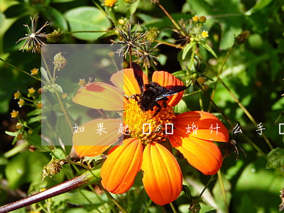 如果起訴離婚什么手續(xù)