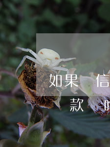 如果辦信用卡不還款會咋樣(如果辦信用卡不還款會咋樣)