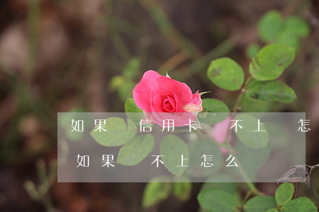 如果辦信用卡還不上該怎么處理-辦信用卡如果還不上怎么辦