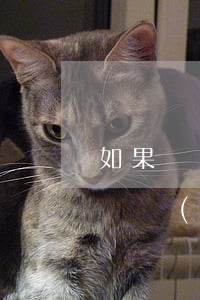 如果這個(gè)月還不上花唄怎么辦(如果這個(gè)月還不上花唄怎么辦)