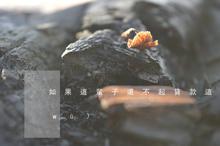 如果這輩子還不起貸款 這輩子還不清債務(wù)