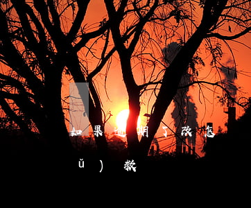 如果逾期了改怎樣還款(逾期以后怎么補(bǔ)救)