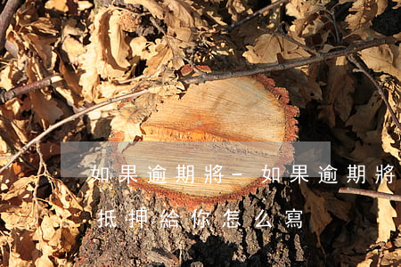 如果逾期將-如果逾期將房產(chǎn)抵押給你怎么寫