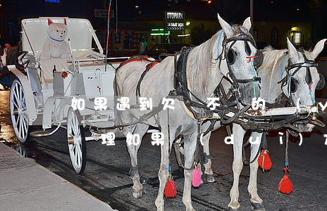 如果遇到欠錢不還的應(yīng)該怎么處理(如果對(duì)方欠錢不還怎么辦)