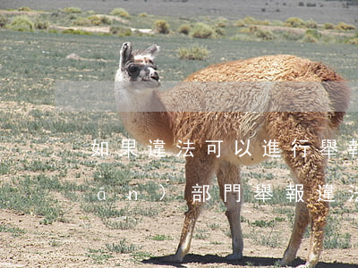 如果違法可以進行舉報嗎(怎么向有關(guān)部門舉報違法行為)