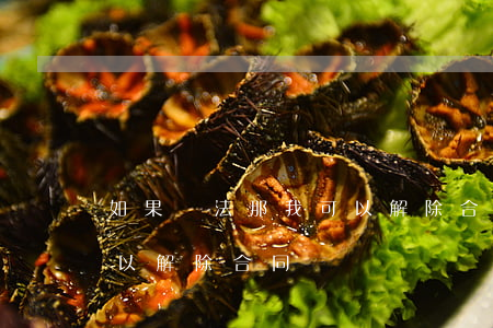 如果違法那我可以解除合同嗎(哪些情況下可以解除合同?)
