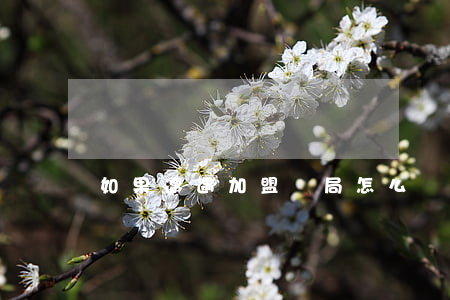 如果遭遇加盟騙局怎么維權(quán)