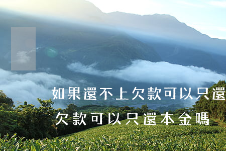 如果還不上欠款可以只還本金嗎(如果還不上欠款可以只還本金嗎)