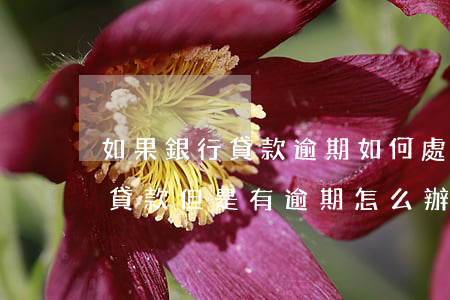 如果銀行貸款逾期如何處理(需要在銀行申請貸款但是有逾期怎么辦)