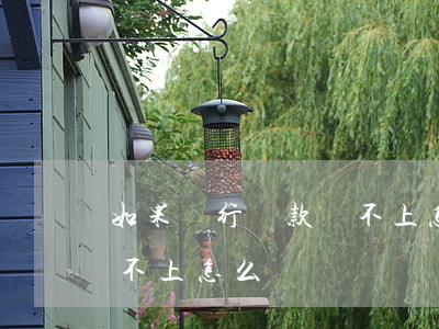 如果銀行貸款還不上怎么辦(在銀行的貸款還不上怎么辦)